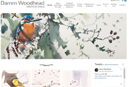 Darren Woodhead, Artist